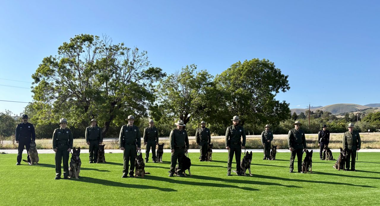 2026 Canine Banner